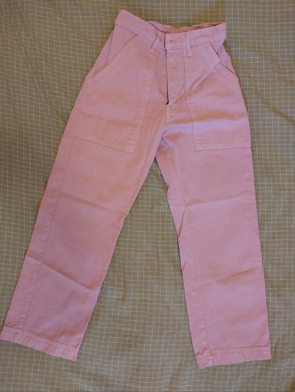 Big Bud Press Work Pants - Lilac